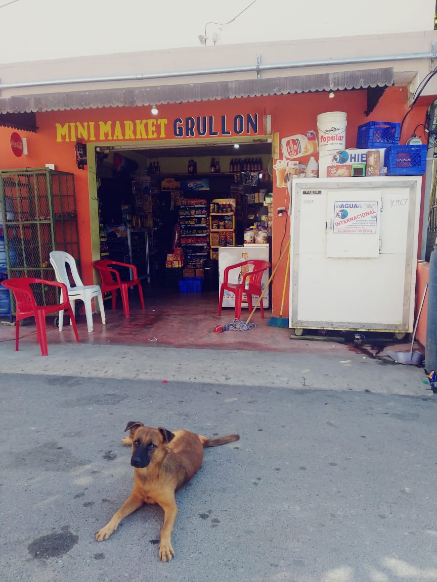 buying groceries in Cabarete mini market