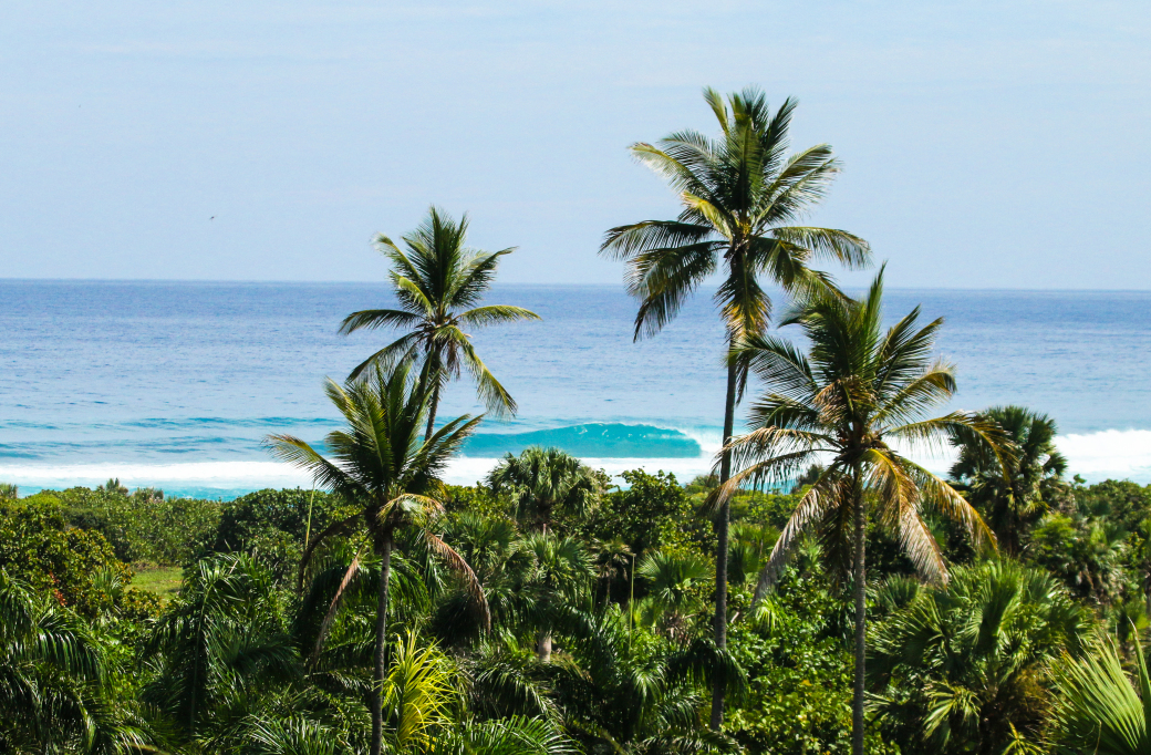 Ultimate Surf Guide Dominican Republic