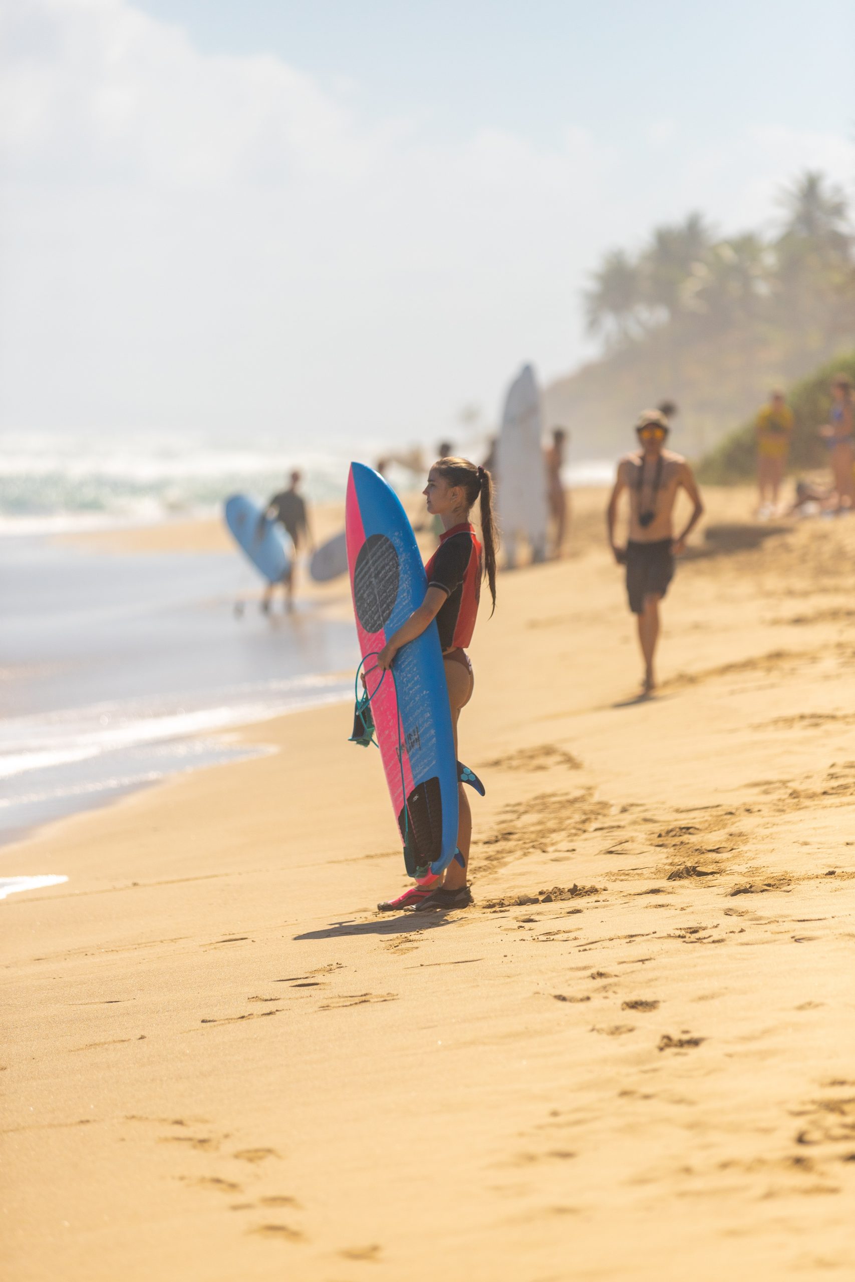 surf in cabarete