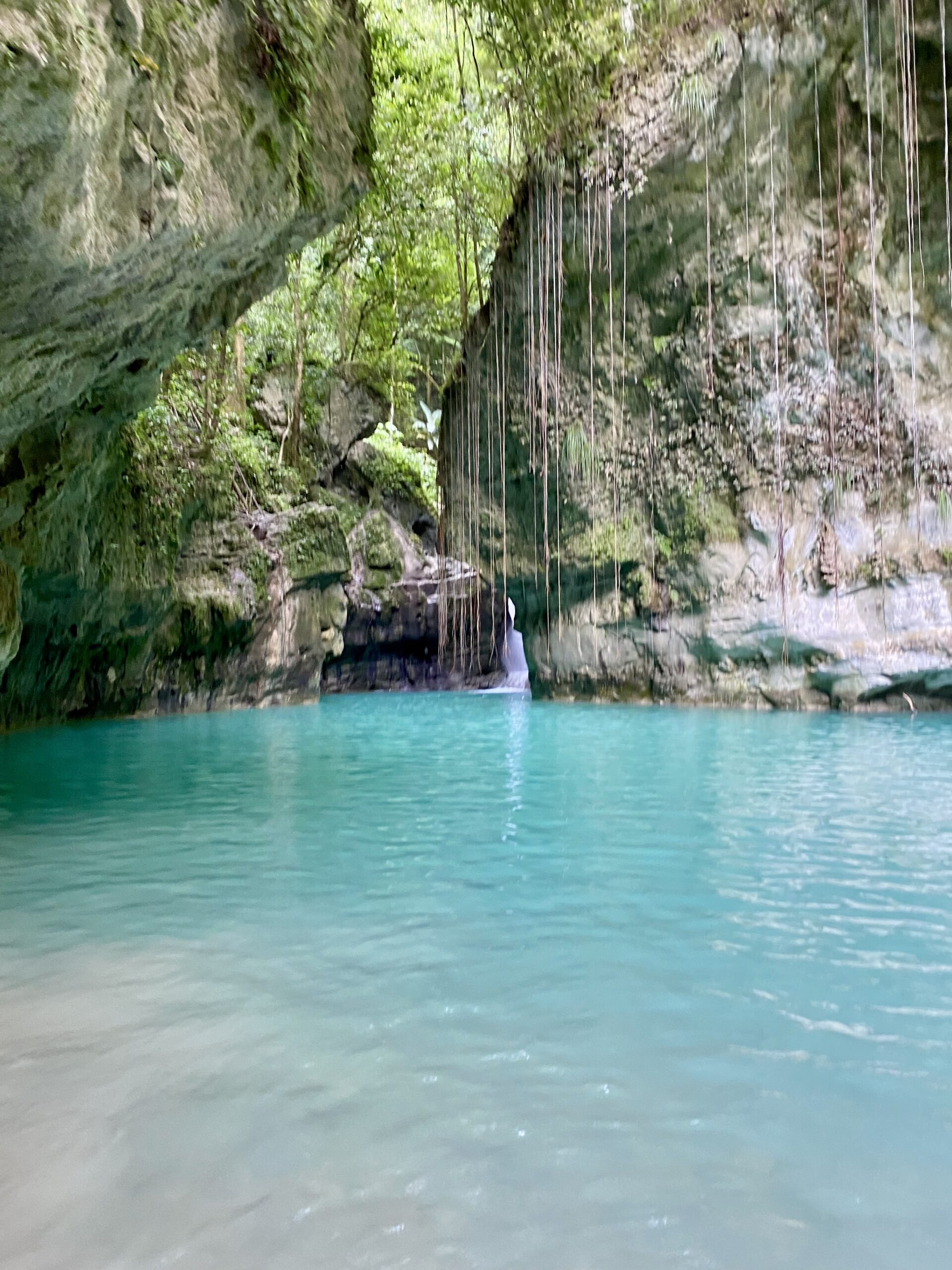 Natural pool with vines