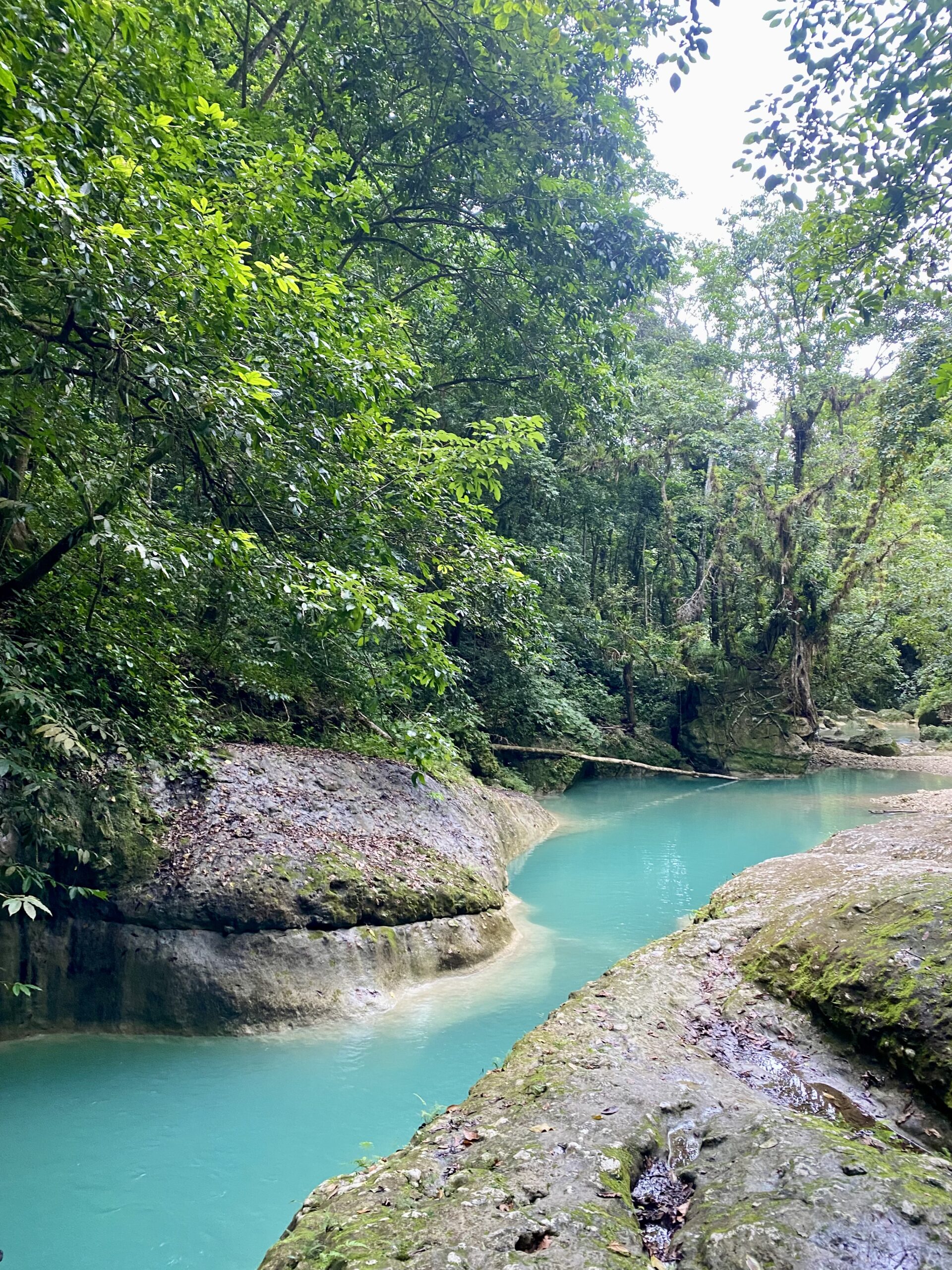 Jungle river canyoning
