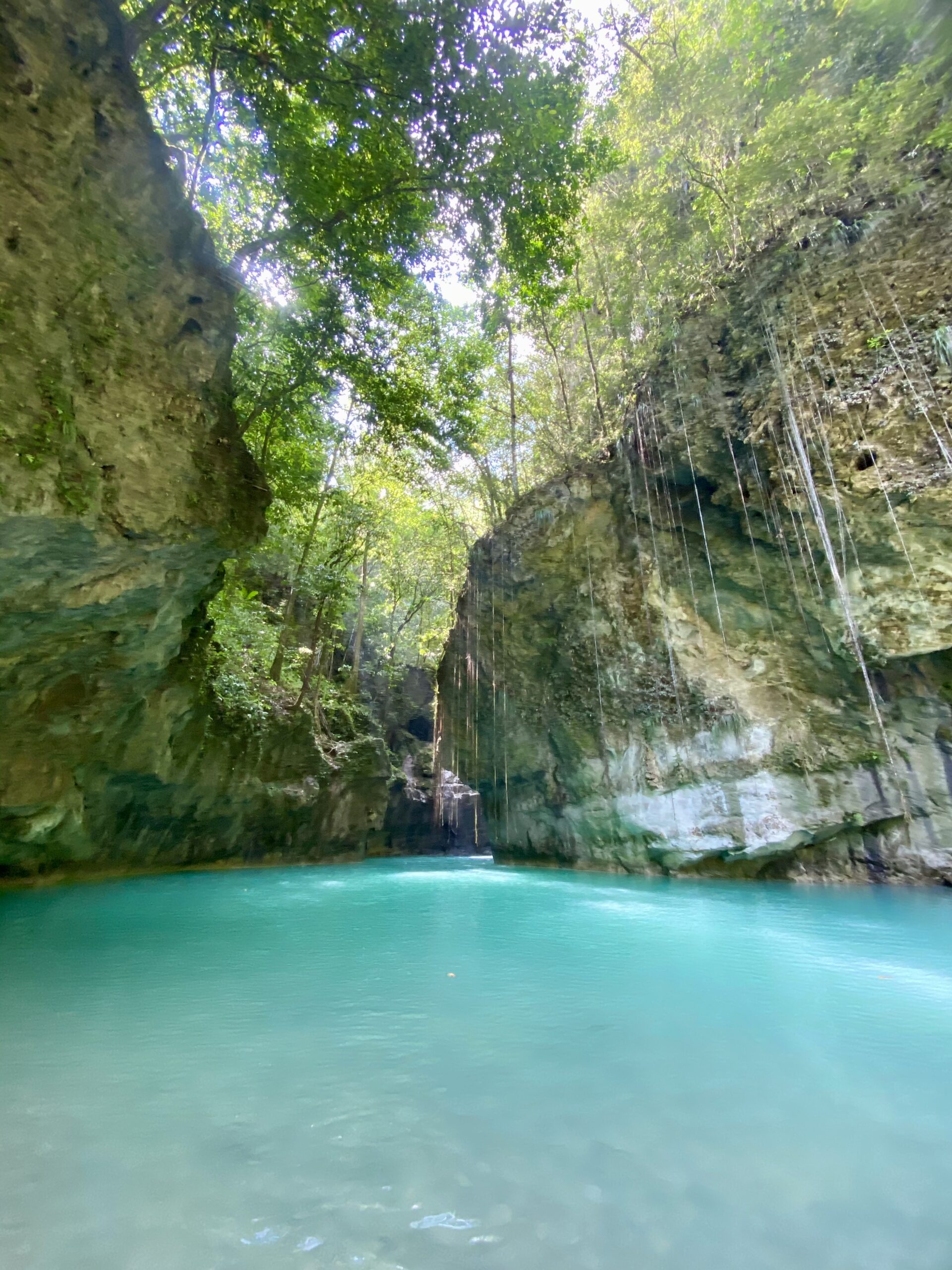 Canyoning Cola de Pato turquoise waterfall pool near Cabarete Dominican Republic