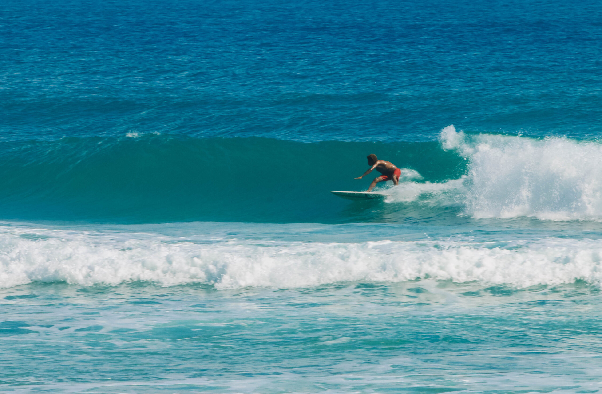 Surf