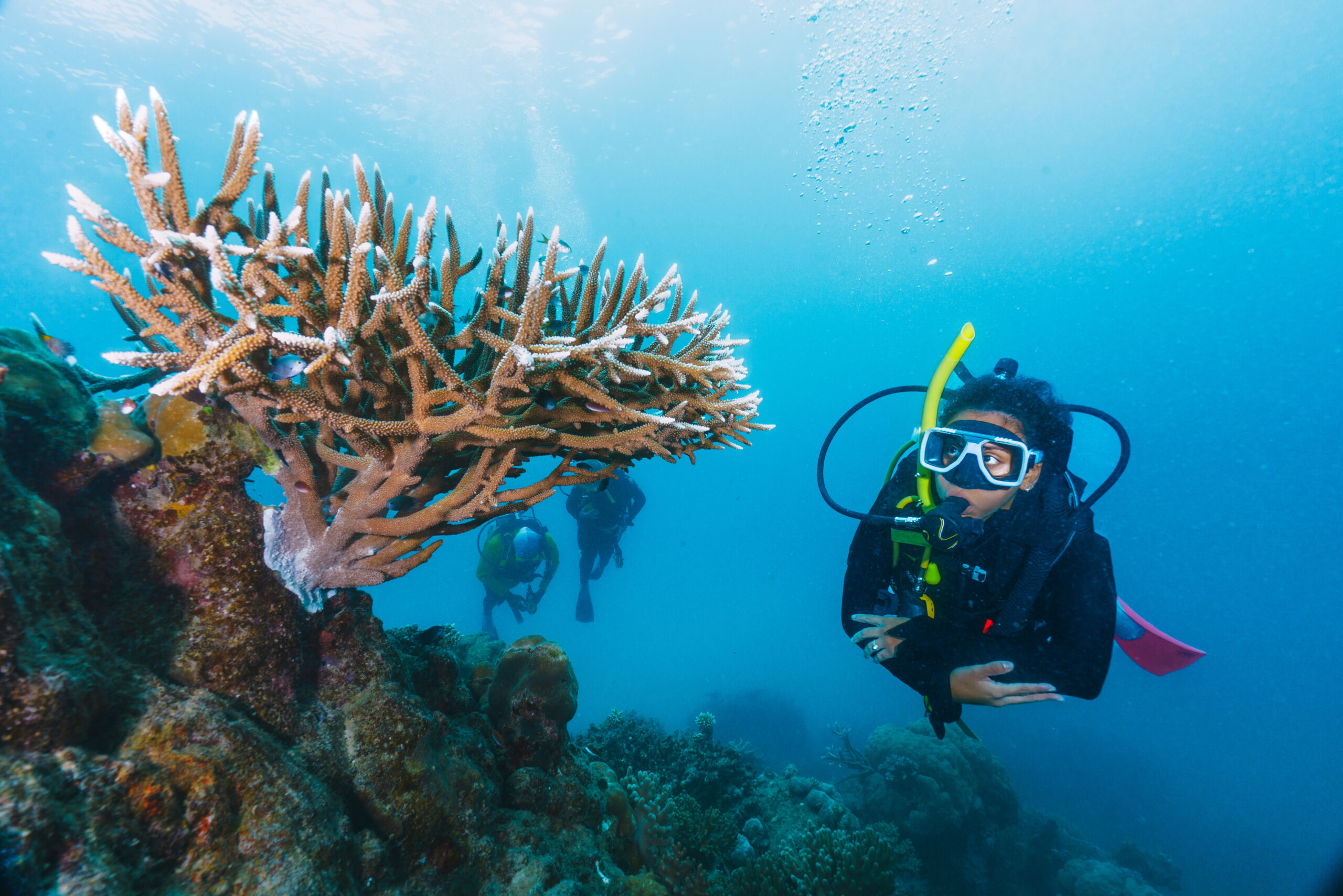 Scuba diving near coral reef