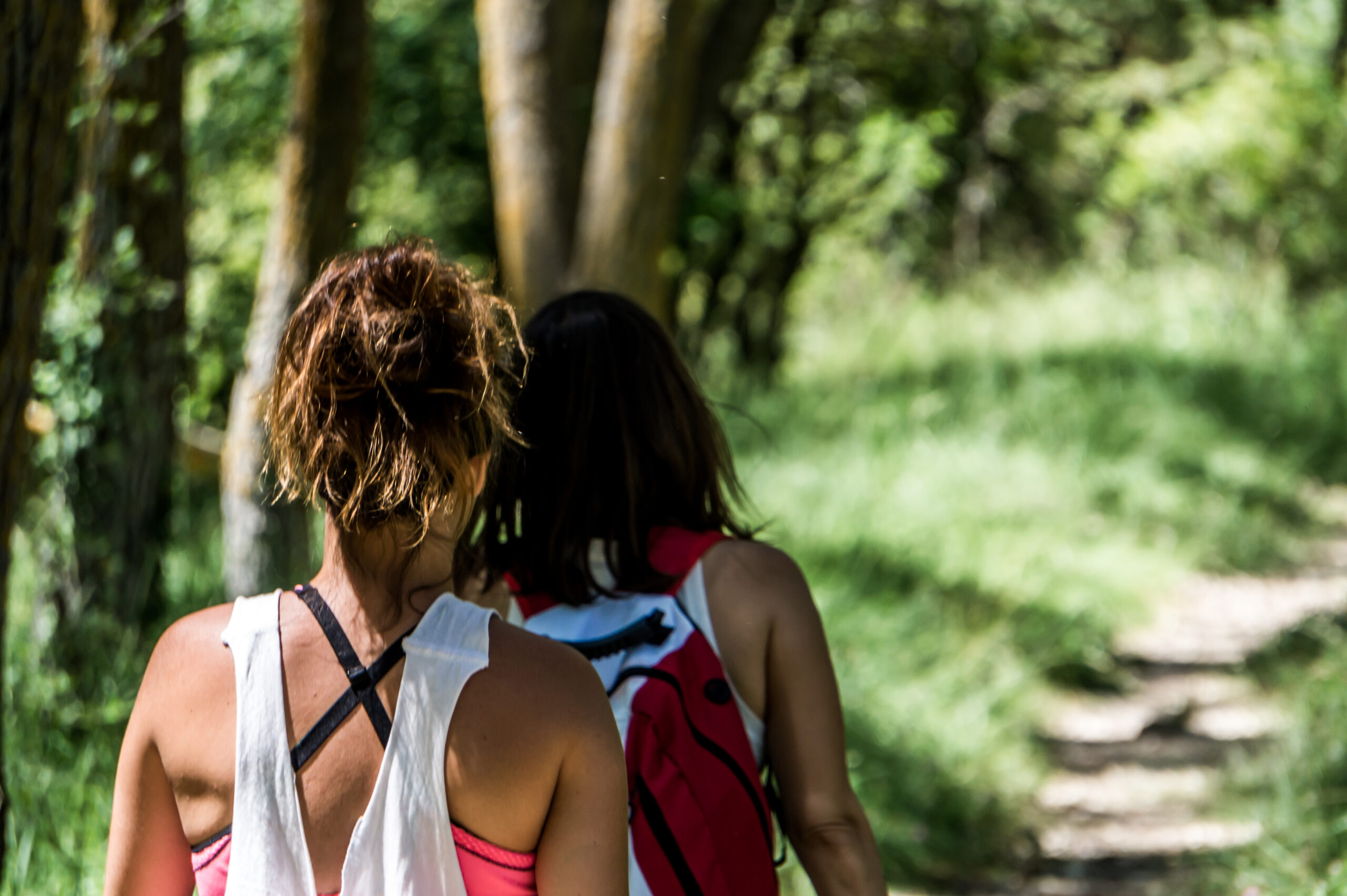 Walking through tropical forest