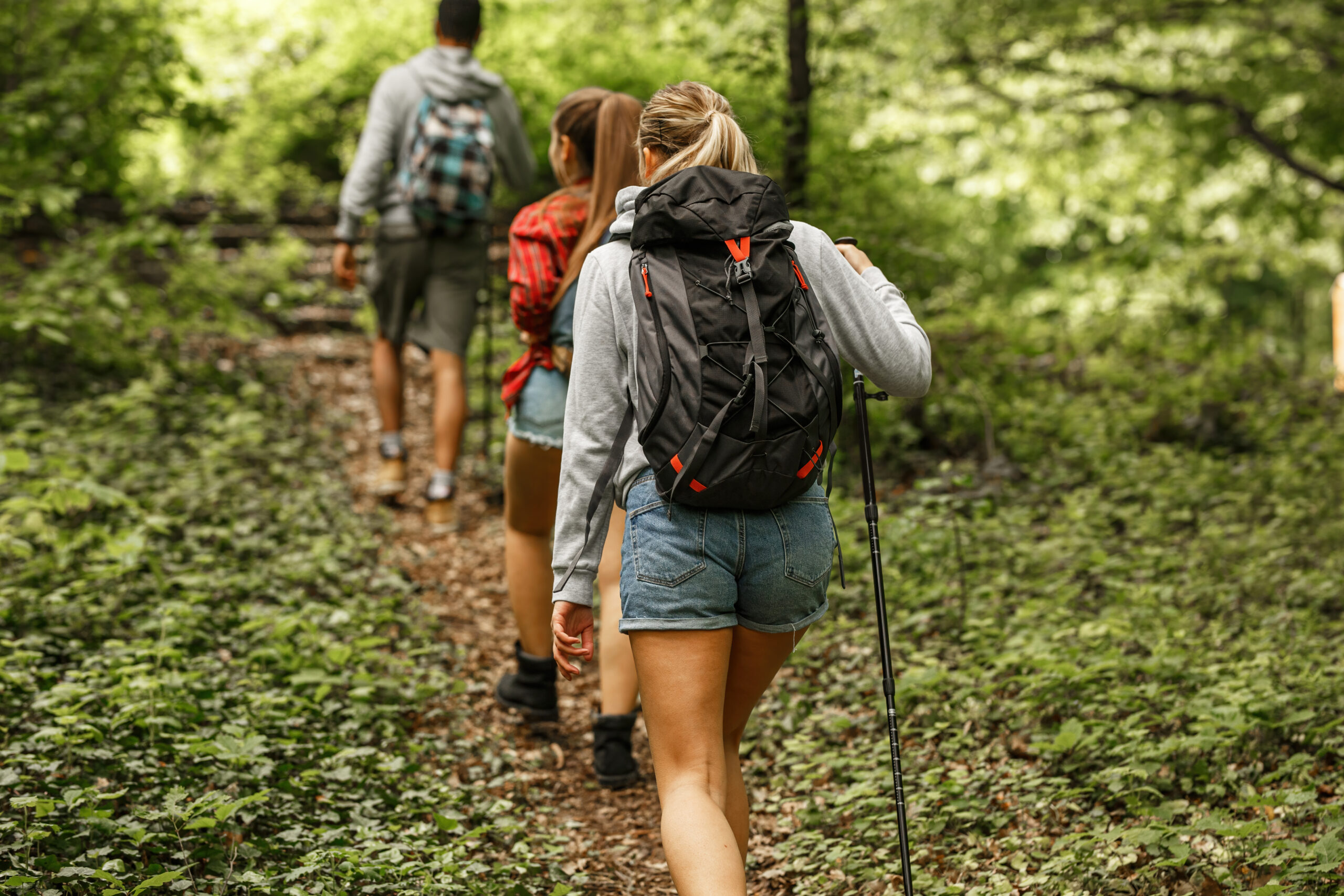 Hiking through green forest