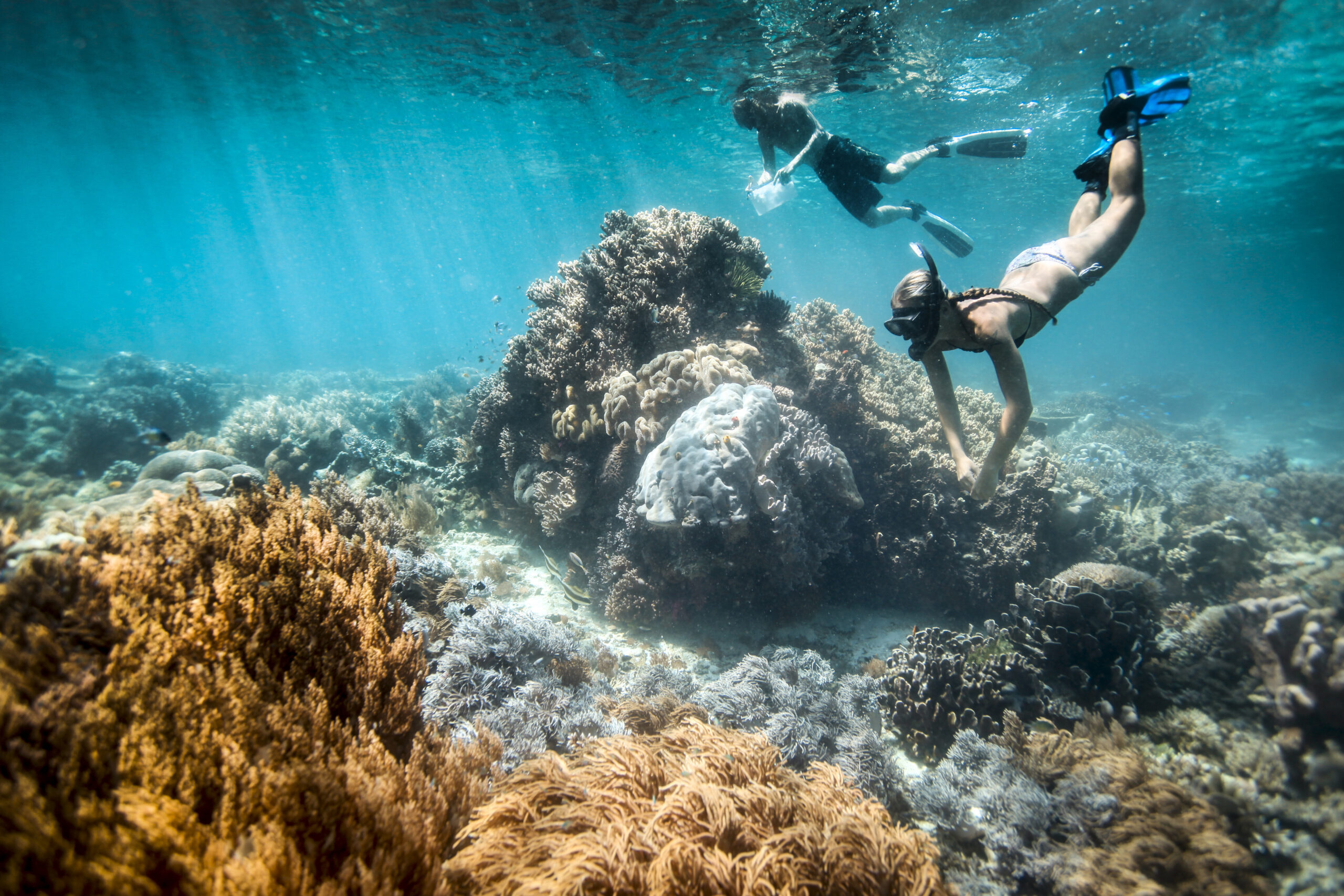 Snorkeling over coral reef