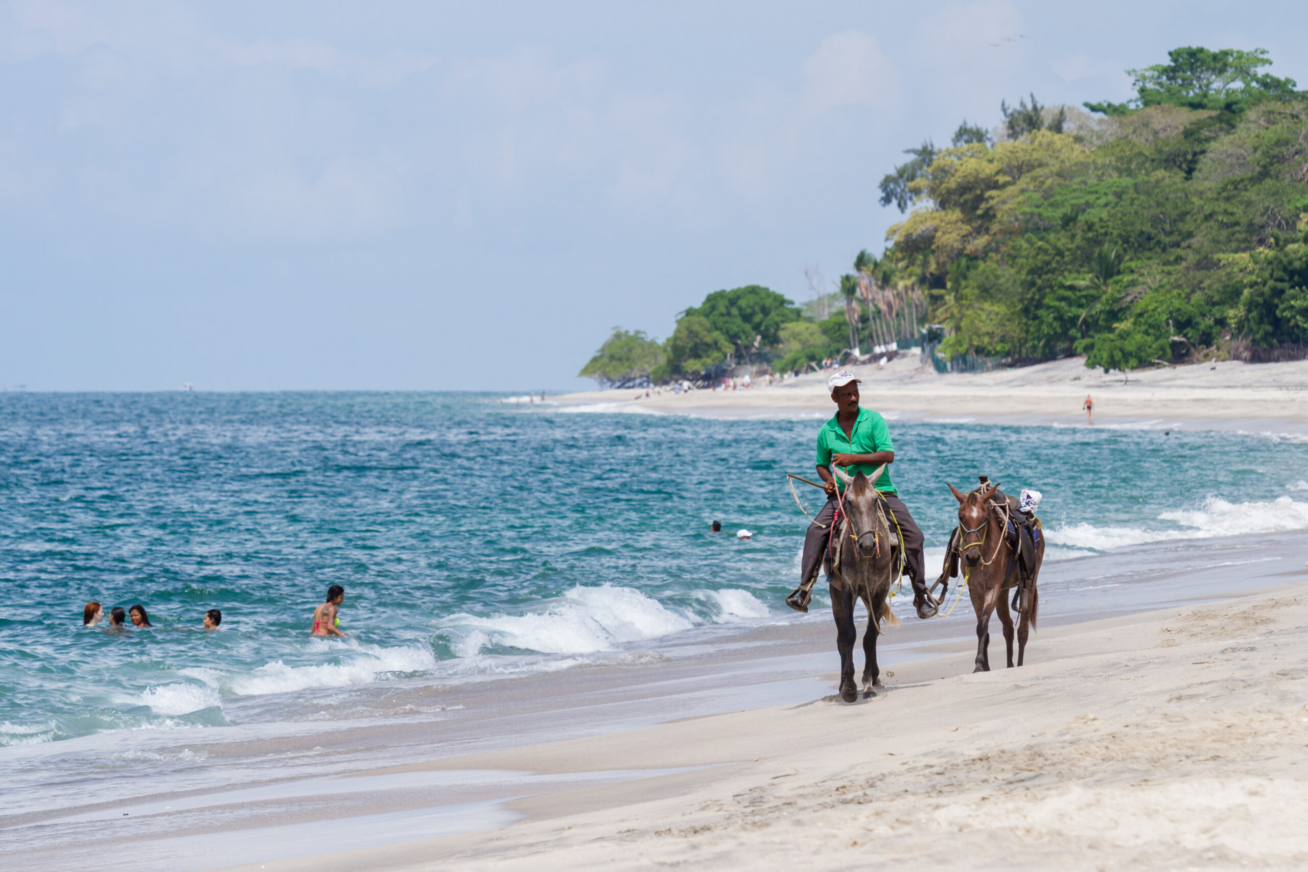 Local horseback riding guide with two horses