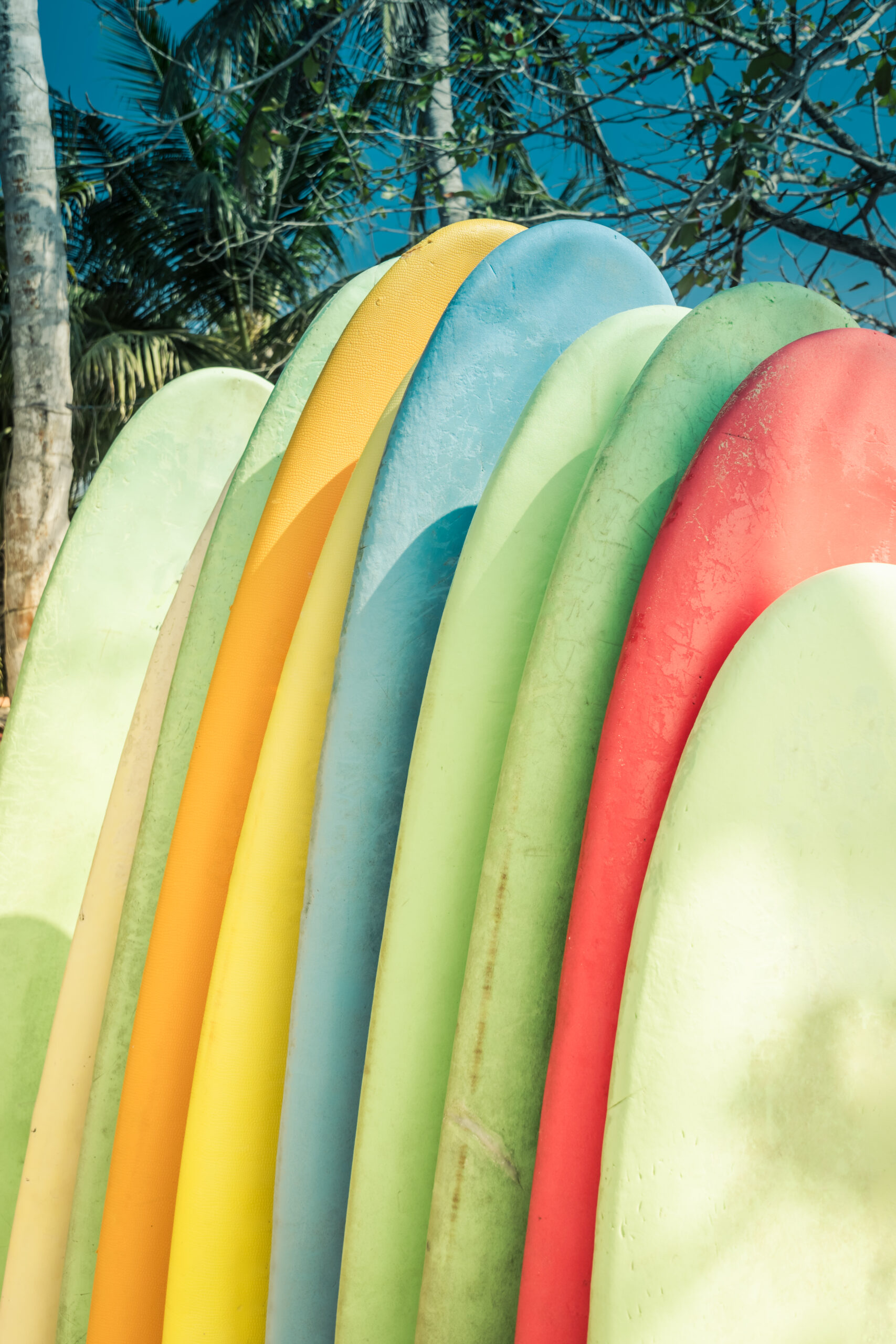 Colorful surfboards on a tropical beach