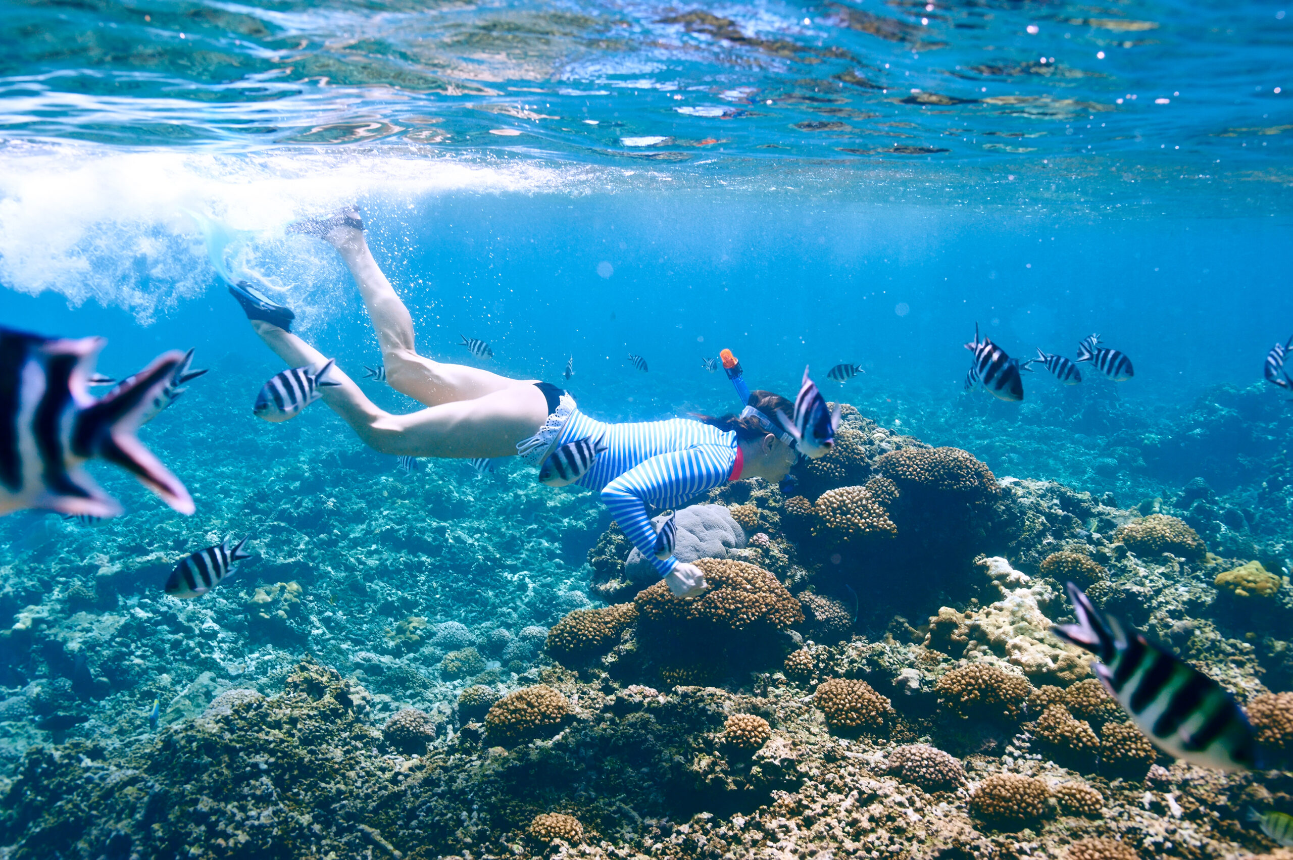 Woman snorkeling with tropical fish